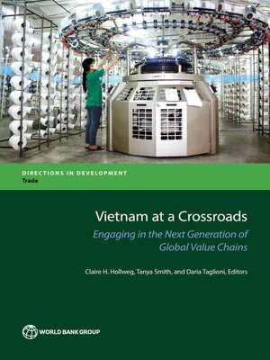 cover image of Vietnam at a Crossroads
